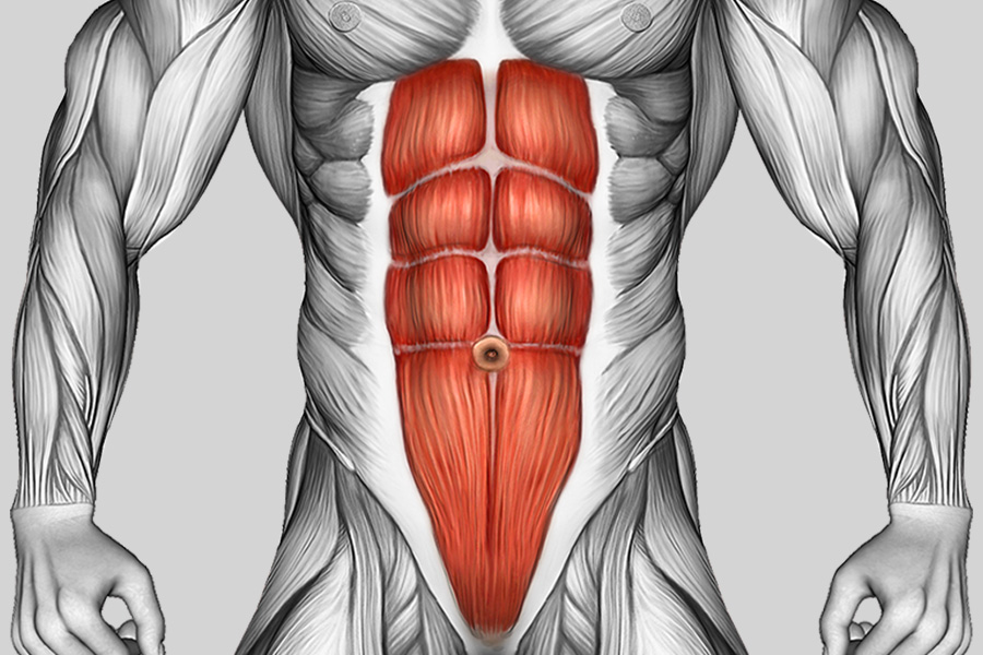 Exercise Category Muscles